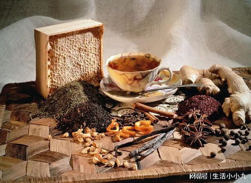 中医养生保健 传统文化与现代健康的融合