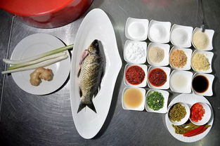 盛夏养阳正当时——中医视角下的老年人夏季养生保健指南