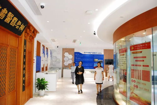 国标调研进行时 《健康管理养生保健服务基本规范》调研组深入江南养生文化村考察